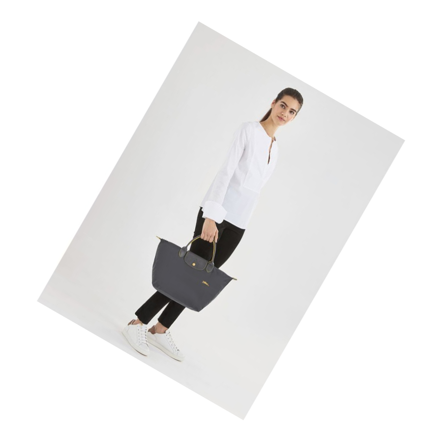 Női Longchamp Le Pliage Club M Kézitáska Szürke | HU-HDE4769