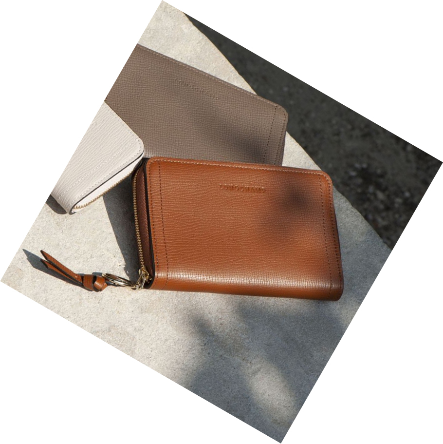 Női Longchamp Mailbox Pénztárca Barna | HU-UAD4926