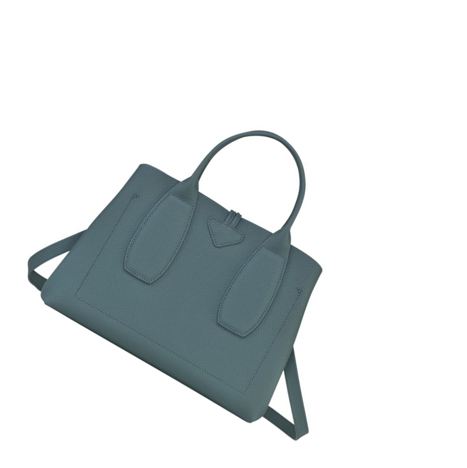Női Longchamp Roseau M Kézitáska Kék | HU-TGU2789