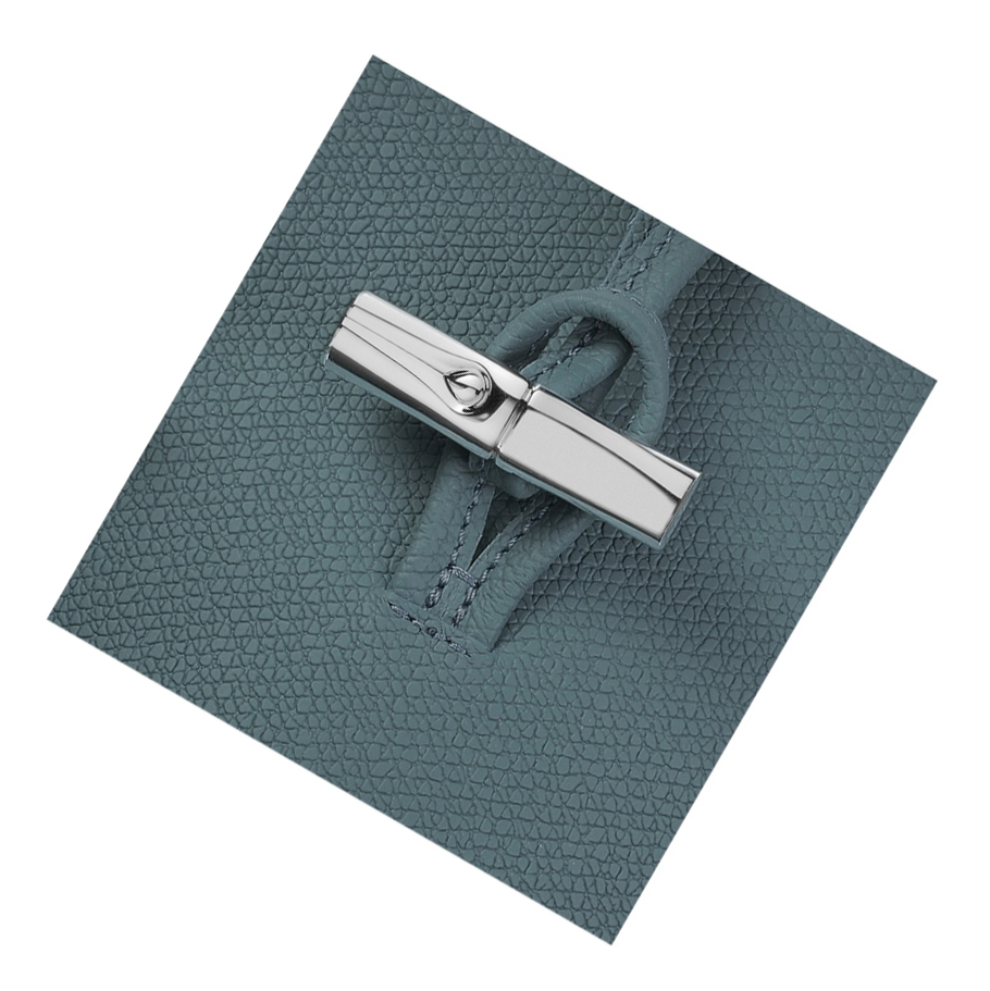 Női Longchamp Roseau Telefontok Kék | HU-FKU5360